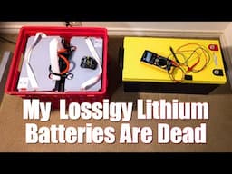 PROBLEMS! #Lossigy Lithium Battery Rockwood Mini Lite Travel Trailer