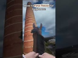 How to Find Steed for Beginners - D&D 5e