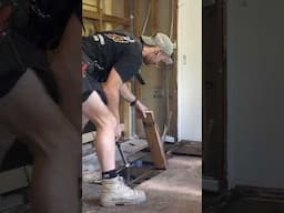 Termites have DESTROYED this house