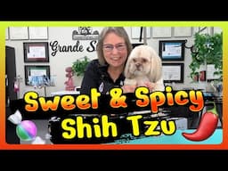 Grooming a Sweet and SPICY SHIH TZU .