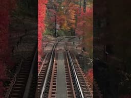 紅葉の京都・叡山電鉄その4(2014年・手振れ注意) #shorts #kyoto #Japan