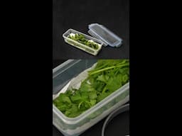 Aprende a guardar hierbas en el #refri y conserva sus nutrientes #tip #balance #fresco