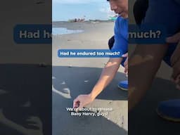 Saving A Baby Turtle From Plastic Pollution!! 🐢
