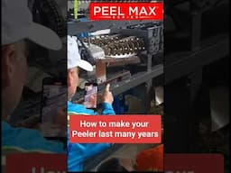 Sugarcane Peeler Number One Important tip for long lifespan #sugarcanebusiness #shorts #peeler