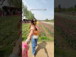 Outfits I Wore in *KASHMIR* ⛰️🌷 #shorts #ytshorts #outfits #kashmir #srinagar #pahalgam #gulmarg