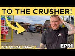 Teamwork Makes The Dream Work! | BM Weekly Ep91