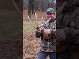 Droptines baby! 🦌🦌🦌 #shedhunting #shedhunter #deer