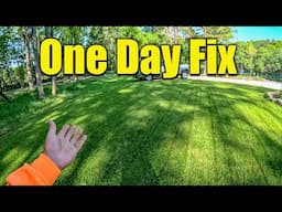 Fixing an Ugly Lawn and Should You Be Seeding