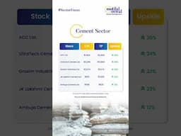 Sector Focus