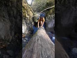 Gorge Bound Adventures: Afon Ddu gorge explore