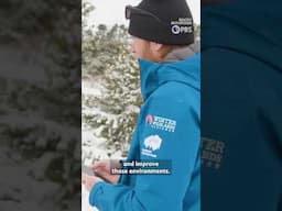 Colorado Mountain Clubs' RIMS mobile app allows hikers to report trail issues