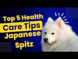 The 5 Must-Dos for Japanese Spitz Pet Parents