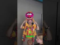 Muppet Drum Solo: Muppets Closing Day (Electric) Mayhem! #shorts