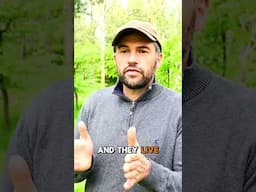 Can You Live Completely Outside of the System?