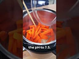 Caramelized Carrot Soup from a Pressure Cooker?