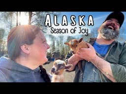 Spring in Alaska - Very Welcome (but very messy) Change After the Long Cold Winter