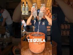 Don’t drink this unless you want to have a good time!! #tequila #mexico # vivamexico #party #jalisco