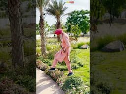 #gurbani #bhaijogindersinghjiriar #gurbanishabad #viralvideo #newshort #shabadgurbanikirtan  #riar
