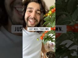 Homemade food for your plants and garden | creative explained