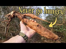 The truth about America's most invasive plant