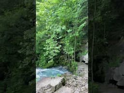 Nature #nature #naturevideo #naturelovers #shorts #naturesounds #naturewalk #naturephotography