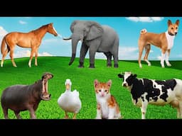 Interesting Animal Collection - Cow, Hippo, Elephant, Horse, Dog, Duck - Familiar Animals