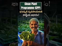 Clean Plant Program #sustainablefarming #virusfreecrops #agrinews #laexcellence #bestiascoaching