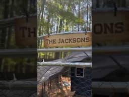 #backyardchickens / “ The Jacksons” theme song