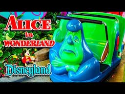Alice in Wonderland 2025 Disneyland | Front Seat Full Ride 4K POV