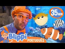 Blippi Explora o Fundo do Mar! | Melhores Episódios do Blippi! | Vídeos Educativos para Crianças
