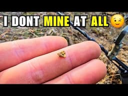 Why I Was Pushed To a New Patch Of Amazing Gold?