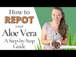 Repotting an Aloe Vera Plant (+Soil & Pot Tips!)