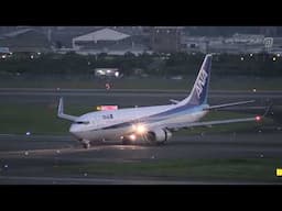 [2013 Itami (伊丹)] ANA Boeing 737-800《NH73H JA66AN  ITM130709》