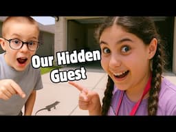 Our Hidden Guest!