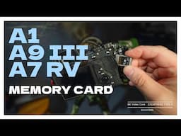 My Go To Memory Card For SONY A1, A1 II, A7RV and A9 III Bird and Wildlife