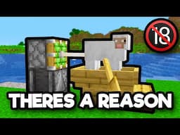 I added "Adult Content" to Minecraft