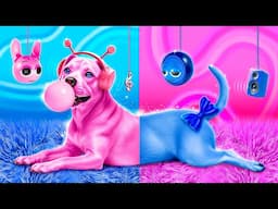 ¡Salvamos a un Perro! ¡Construimos una Habitación Secreta para Mascotas! Azul vs Rosa