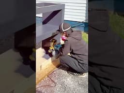Outdoor working in sunny day, Michigan USA (April 27) #usa #spring #outdoors