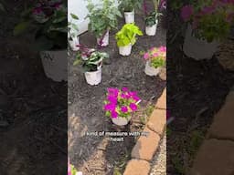 Nikki's Royale Plant Haul Part 2