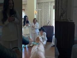 My Dog Crashed A Wedding! 🐶🍾 #weddingday #surprise #goldendoodle