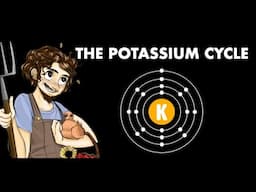 The Potassium Cycle | Regenerative Soil