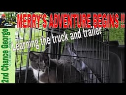 My Cat Merry's Epic Camper Adventure Begins