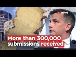Treaty Principles Bill: Select committee recommends not to proceed | 1News on TVNZ+