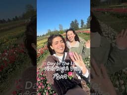 Perfect spring day in the life 🌷🧚🏽‍♂️🌟 #dayinmylife #minivlog #tulip