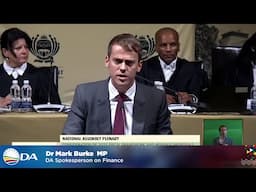 Budget 2025: DA stopped the VAT hike – now fighting stagnation