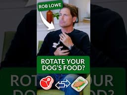 Should You Feed Your Dog the Same Food Every Day? Rob Lowe Answers Right = Puppy Cuddles!