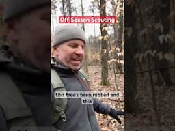 Part 7 - Off Season Public Land Scouting #mobilehunter #saddlehunting #hunting