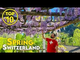 Top 10 Spring Switzerland [Travel Guide]
