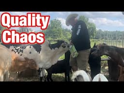 Quality time with the animals