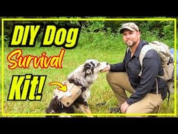 DIY Dog Survival Kit: Build the Ultimate K9 Bug-Out Bag & Harness!